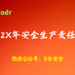 202X年安全生产责任书