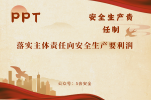 落实主体责任向安全生产要利润（50页）