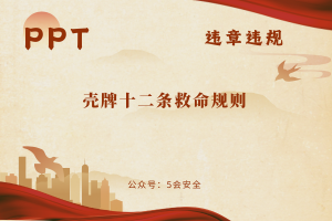 壳牌十二条救命规则（23页）