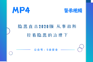 隐患直击2020版  从事故防控看隐患的治理下