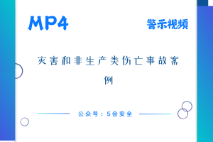 灾害和非生产类伤亡事故案例