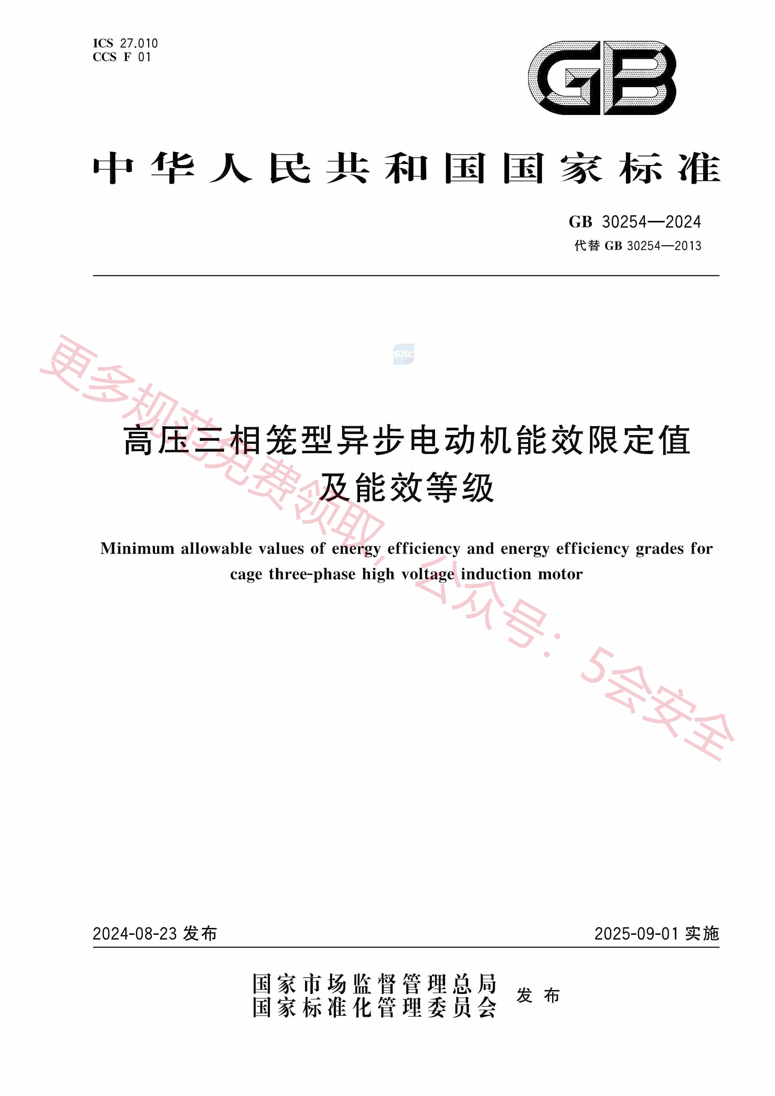 GB30254-2024高压三相笼型异步电动机能效限定值及能效等级