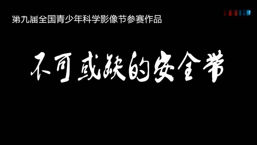 不可或缺的安全带(1)