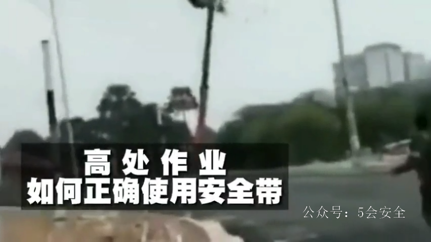 使用安全带