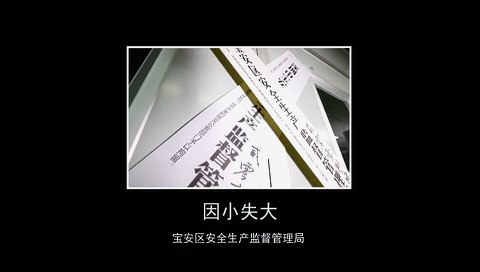 因小失大2