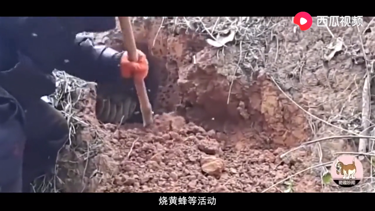 森林火灾警示片
