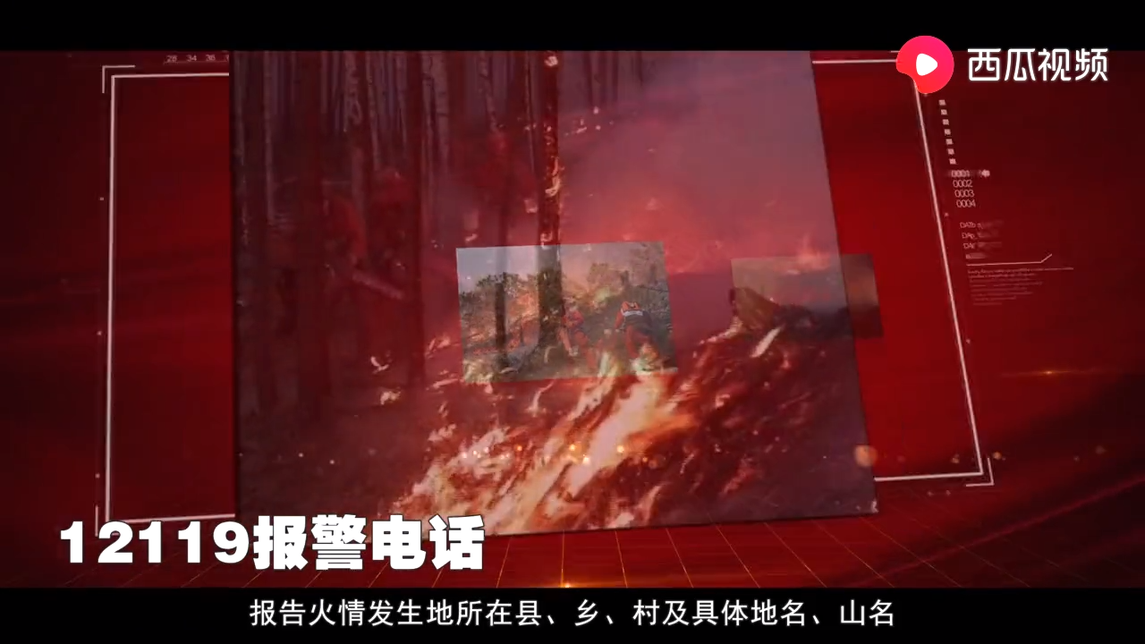 森林火灾警示片