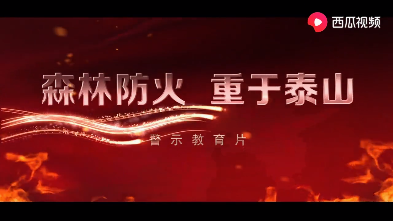 森林火灾警示片