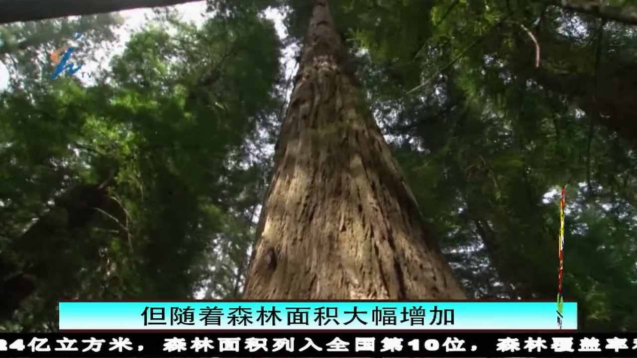 森林防火人人有责