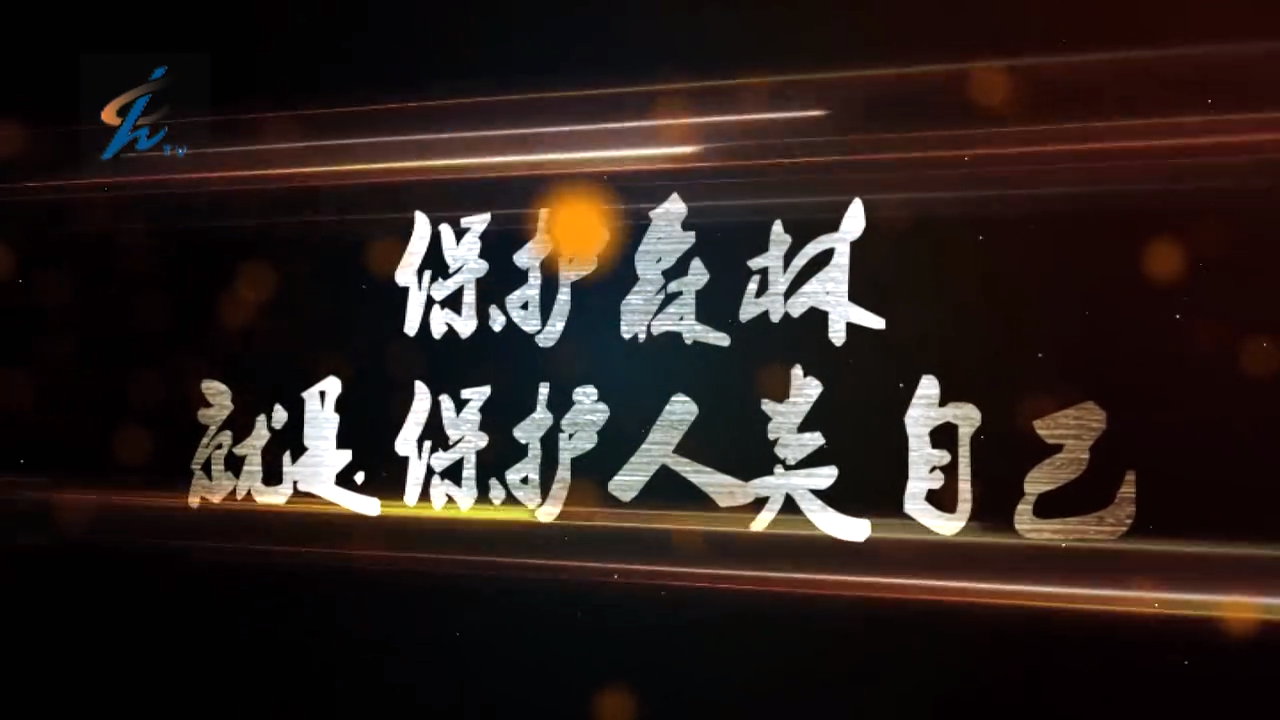 森林防火人人有责