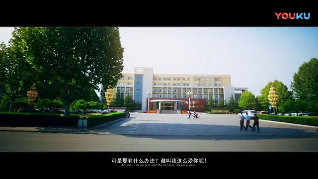爱我一生为我一生——给我家石头的安全情书
