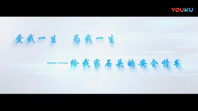 爱我一生为我一生——给我家石头的安全情书