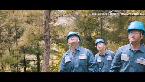 生命的赌注