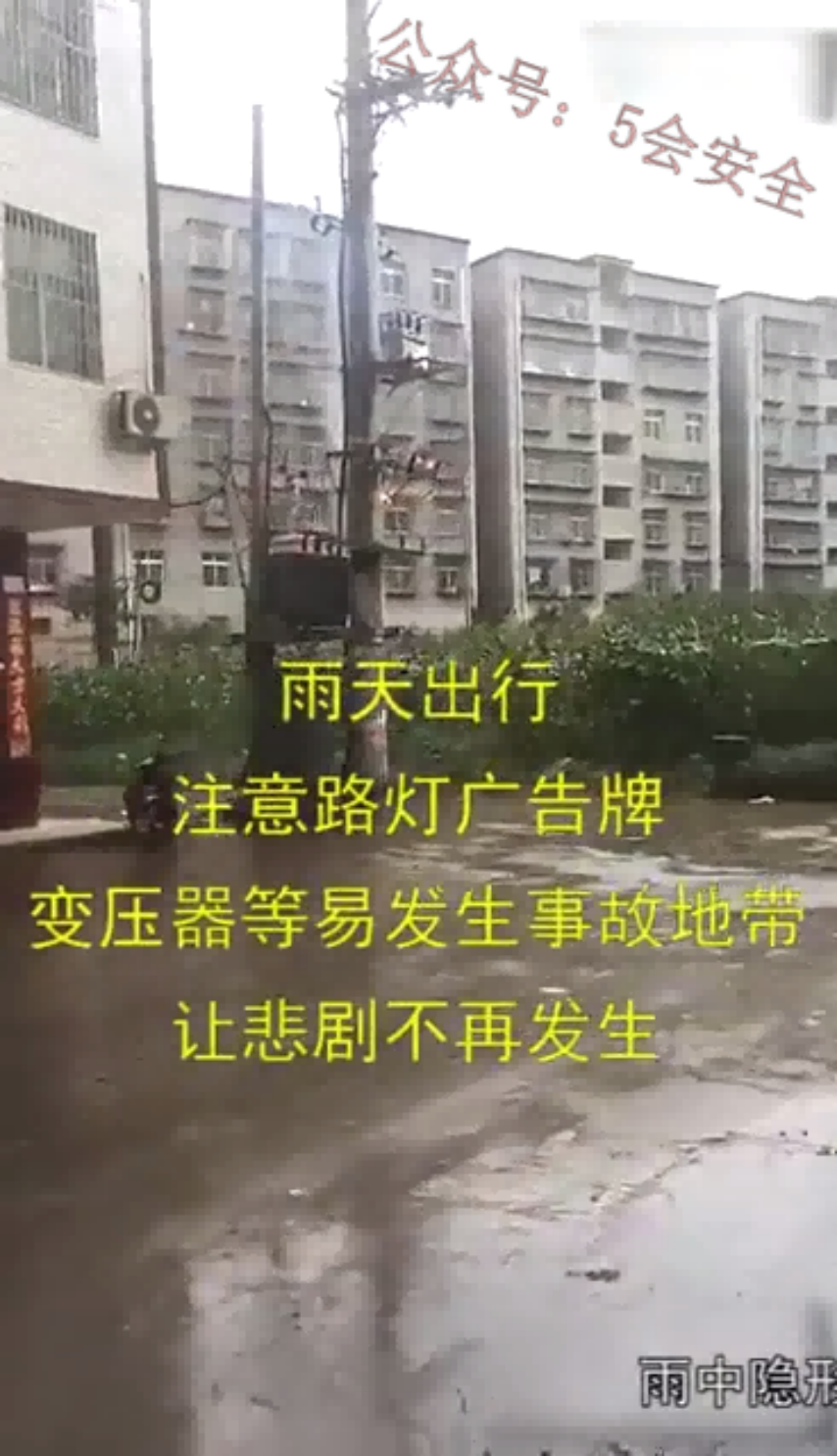 雨天恐怖电老虎